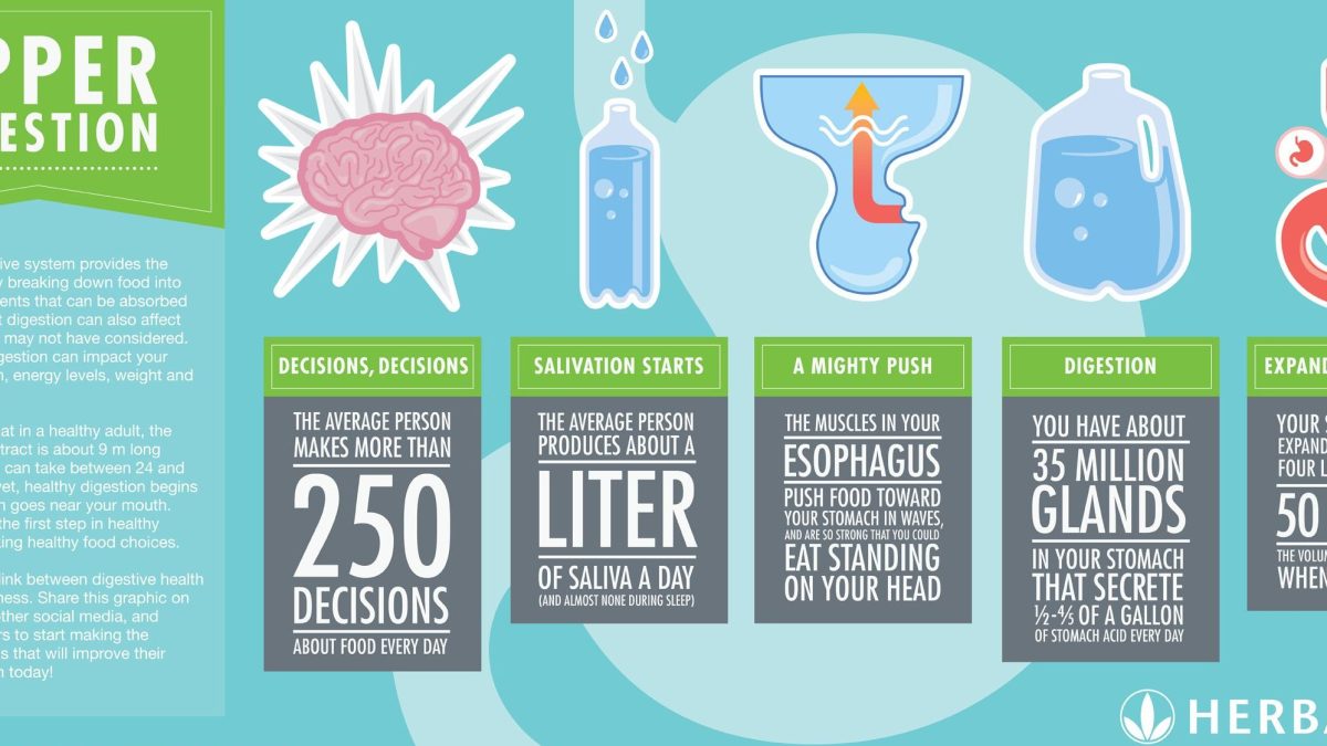 5 Reasons for Choosing Herbalife for Your 2026 Wellness Journey