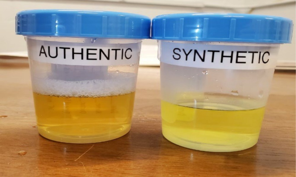 Essential Factors to Consider When Selecting Synthetic Urine Products